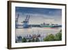 Germany, Hamburg, the Elbe, Fish Market, Harbour-Ingo Boelter-Framed Photographic Print