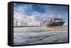 Germany, Hamburg, the Elbe, Fish Market, Harbour-Ingo Boelter-Framed Stretched Canvas