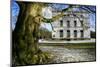 Germany, Hamburg-Uwe Steffens-Mounted Photographic Print