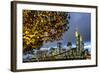 Germany, Hesse, Financial District-Bernd Wittelsbach-Framed Photographic Print