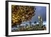 Germany, Hesse, Financial District-Bernd Wittelsbach-Framed Photographic Print