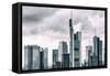 Germany, Hesse, Frankfurt on the Main, Skyline, Financial District, Monochrome-Bernd Wittelsbach-Framed Stretched Canvas