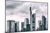 Germany, Hesse, Frankfurt on the Main, Skyline, Financial District, Monochrome-Bernd Wittelsbach-Mounted Photographic Print