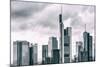 Germany, Hesse, Frankfurt on the Main, Skyline, Financial District, Monochrome-Bernd Wittelsbach-Mounted Photographic Print