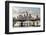 Germany, Hesse, Frankfurt on the Main, Skyline, Selective Focus-Bernd Wittelsbach-Framed Photographic Print