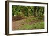 Germany, Hesse, Kellerwald-Edersee National Park, Bad Wildungen (Small Town), Halloh-Wald-Andreas Keil-Framed Photographic Print