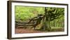 Germany, Hesse, Kellerwald-Edersee National Park, Bad Wildungen (Small Town), Halloh-Wald-Andreas Keil-Framed Photographic Print