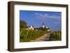 Germany, Hesse, Main-Taunus District, Hochheim Am Main, Vineyards-Udo Siebig-Framed Photographic Print