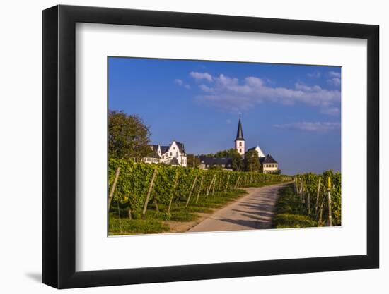 Germany, Hesse, Main-Taunus District, Hochheim Am Main, Vineyards-Udo Siebig-Framed Photographic Print