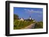 Germany, Hesse, Main-Taunus District, Hochheim Am Main, Vineyards-Udo Siebig-Framed Photographic Print