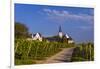 Germany, Hesse, Main-Taunus District, Hochheim Am Main, Vineyards-Udo Siebig-Framed Premium Photographic Print