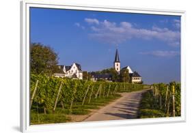 Germany, Hesse, Main-Taunus District, Hochheim Am Main, Vineyards-Udo Siebig-Framed Premium Photographic Print