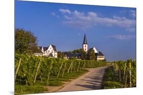 Germany, Hesse, Main-Taunus District, Hochheim Am Main, Vineyards-Udo Siebig-Mounted Premium Photographic Print