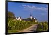 Germany, Hesse, Main-Taunus District, Hochheim Am Main, Vineyards-Udo Siebig-Framed Premium Photographic Print