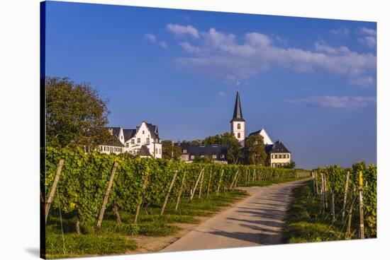 Germany, Hesse, Main-Taunus District, Hochheim Am Main, Vineyards-Udo Siebig-Stretched Canvas