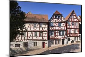 Germany, Hesse, Odenwald (Region), Bergstra§e (Region), Bensheim, Old Town-Udo Siebig-Mounted Photographic Print