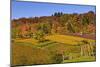 Germany, Hesse, Odenwald (Region), Bergstrasse (Region), Heppenheim (Town), Vineyards, Autumn Mood-Udo Siebig-Mounted Photographic Print