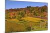 Germany, Hesse, Odenwald (Region), Bergstrasse (Region), Heppenheim (Town), Vineyards, Autumn Mood-Udo Siebig-Mounted Photographic Print