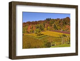 Germany, Hesse, Odenwald (Region), Bergstrasse (Region), Heppenheim (Town), Vineyards, Autumn Mood-Udo Siebig-Framed Photographic Print