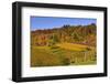 Germany, Hesse, Odenwald (Region), Bergstrasse (Region), Heppenheim (Town), Vineyards, Autumn Mood-Udo Siebig-Framed Photographic Print