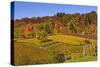 Germany, Hesse, Odenwald (Region), Bergstrasse (Region), Heppenheim (Town), Vineyards, Autumn Mood-Udo Siebig-Stretched Canvas