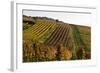 Germany, Hesse, Odenwald (Region), Bergstrasse (Region), Heppenheim (Town), Vineyards, Autumn Mood-Udo Siebig-Framed Photographic Print