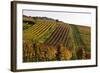 Germany, Hesse, Odenwald (Region), Bergstrasse (Region), Heppenheim (Town), Vineyards, Autumn Mood-Udo Siebig-Framed Photographic Print