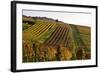 Germany, Hesse, Odenwald (Region), Bergstrasse (Region), Heppenheim (Town), Vineyards, Autumn Mood-Udo Siebig-Framed Photographic Print