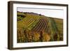 Germany, Hesse, Odenwald (Region), Bergstrasse (Region), Heppenheim (Town), Vineyards, Autumn Mood-Udo Siebig-Framed Photographic Print