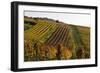 Germany, Hesse, Odenwald (Region), Bergstrasse (Region), Heppenheim (Town), Vineyards, Autumn Mood-Udo Siebig-Framed Photographic Print