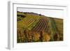 Germany, Hesse, Odenwald (Region), Bergstrasse (Region), Heppenheim (Town), Vineyards, Autumn Mood-Udo Siebig-Framed Photographic Print