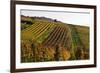 Germany, Hesse, Odenwald (Region), Bergstrasse (Region), Heppenheim (Town), Vineyards, Autumn Mood-Udo Siebig-Framed Photographic Print