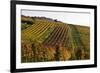 Germany, Hesse, Odenwald (Region), Bergstrasse (Region), Heppenheim (Town), Vineyards, Autumn Mood-Udo Siebig-Framed Photographic Print