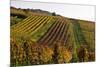 Germany, Hesse, Odenwald (Region), Bergstrasse (Region), Heppenheim (Town), Vineyards, Autumn Mood-Udo Siebig-Mounted Photographic Print