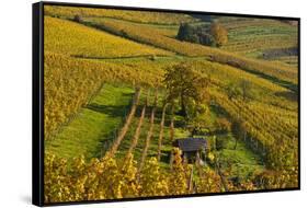 Germany, Hesse, Odenwald (Region), Bergstrasse (Region), Heppenheim (Town-Udo Siebig-Framed Stretched Canvas