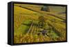 Germany, Hesse, Odenwald (Region), Bergstrasse (Region), Heppenheim (Town-Udo Siebig-Framed Stretched Canvas