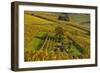 Germany, Hesse, Odenwald (Region), Bergstrasse (Region), Heppenheim (Town-Udo Siebig-Framed Photographic Print