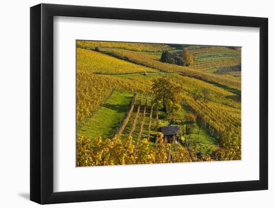 Germany, Hesse, Odenwald (Region), Bergstrasse (Region), Heppenheim (Town-Udo Siebig-Framed Photographic Print