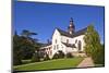 Germany, Hesse, Rheingau (Region), Eltville Am Rhein (Village), Cloister Eberbach, Basilica-Udo Siebig-Mounted Photographic Print