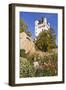 Germany, Hesse, Rheingau (Region), Eltville Am Rhein (Village), Electoral Castle Eltville-Udo Siebig-Framed Photographic Print