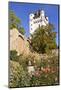 Germany, Hesse, Rheingau (Region), Eltville Am Rhein (Village), Electoral Castle Eltville-Udo Siebig-Mounted Photographic Print