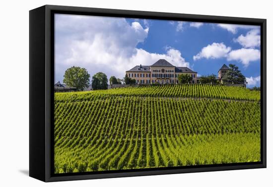 Germany, Hesse, Rheingau (Region), Geisenheim (Village), Johannisberg District-Udo Siebig-Framed Stretched Canvas