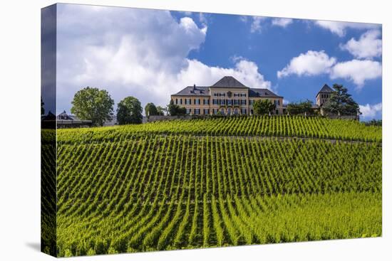 Germany, Hesse, Rheingau (Region), Geisenheim (Village), Johannisberg District-Udo Siebig-Stretched Canvas