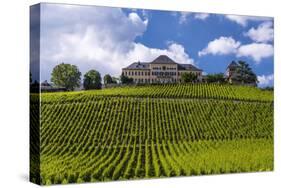 Germany, Hesse, Rheingau (Region), Geisenheim (Village), Johannisberg District-Udo Siebig-Stretched Canvas