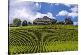 Germany, Hesse, Rheingau (Region), Geisenheim (Village), Johannisberg District-Udo Siebig-Stretched Canvas