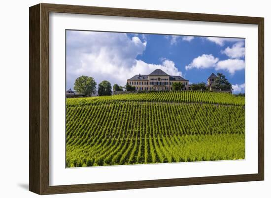 Germany, Hesse, Rheingau (Region), Geisenheim (Village), Johannisberg District-Udo Siebig-Framed Photographic Print