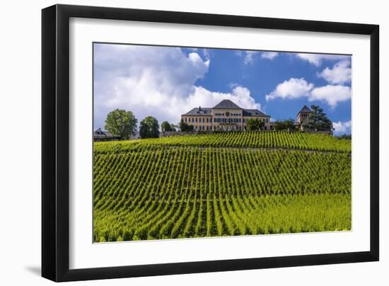 Germany, Hesse, Rheingau (Region), Geisenheim (Village), Johannisberg District-Udo Siebig-Framed Photographic Print