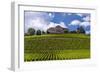 Germany, Hesse, Rheingau (Region), Geisenheim (Village), Johannisberg District-Udo Siebig-Framed Photographic Print