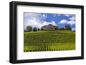 Germany, Hesse, Rheingau (Region), Geisenheim (Village), Johannisberg District-Udo Siebig-Framed Premium Photographic Print