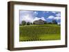 Germany, Hesse, Rheingau (Region), Geisenheim (Village), Johannisberg District-Udo Siebig-Framed Photographic Print